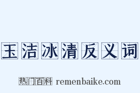 玉洁冰清反义词是什么意思的图片